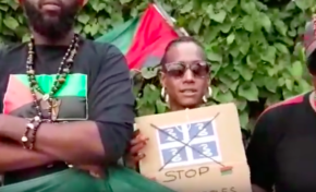 La chasse au drapeau 4 serpents est ouverte en Martinique