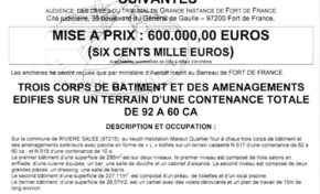 Martinique : La villa l'Oasis est à vendre...ouhhh Michael let it be...
