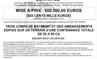 Martinique : La villa l'Oasis est à vendre...ouhhh Michael let it be...
