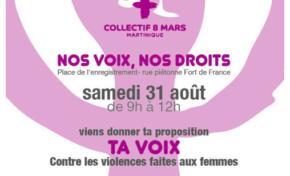 Le Collectif 8 mars...le lapsus...moi...l'habite