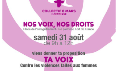 Le Collectif 8 mars...le lapsus...moi...l'habite