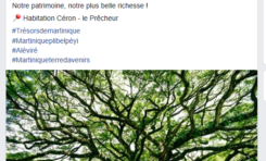 Martinique : eh oui...Catherine Conconne ne sera JAMAIS agrégée d'histoire...