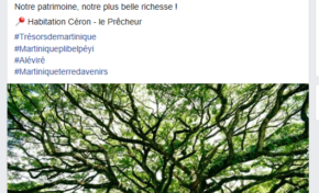 Martinique : eh oui...Catherine Conconne ne sera JAMAIS agrégée d'histoire...