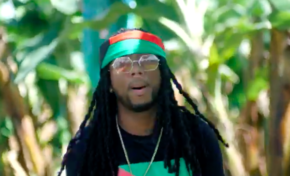 Municipales 2020 en Martinique..et si Bobi remplaçait tous les candidats ?