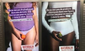 L'image du jour 11/10/19 -France -Paris - Naturalia