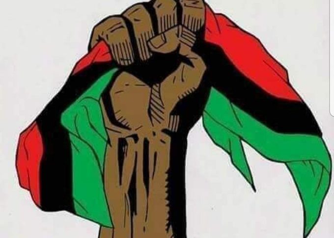 L'image du jour 28/11/19 - Martinique - Scandale du Chlordécone