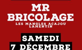 Mr Bricolage. Faites-le vous-même, mais pas tout seul...