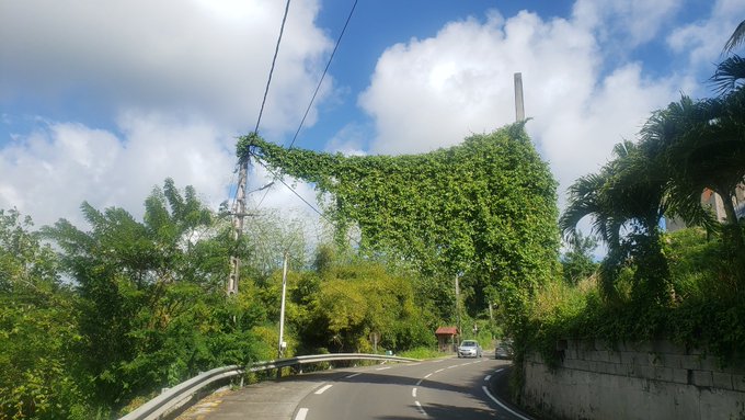 Le développement durable marche sur un fil en Martinique