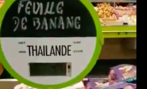 Des feuilles de bananier de Thaïlande vendues en...Guadeloupe