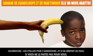 Image du jour (13 janvier 2020)