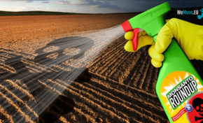 Une bonne nouvelle pour le jardin du...Luxembourg...