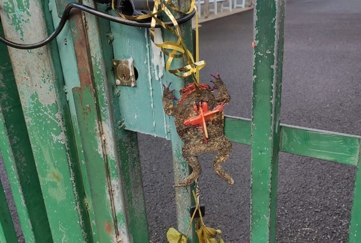 Municipales 2020 en Martinique : le quimbois démarre fort à Saint-Joseph