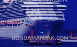 Coronavirus : le paquebot Costa Magica doit-il accoster en Martinique ?