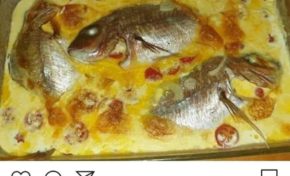 Ça suffit. Il faut vite déconfiner...ça n'est plus possible