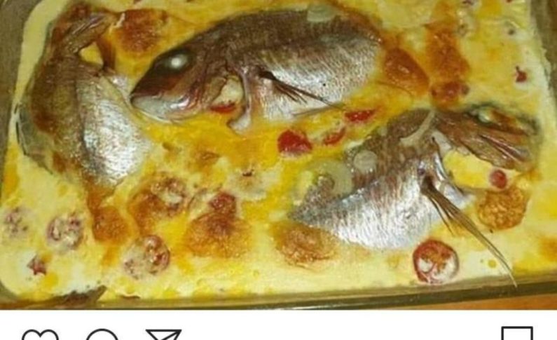 Ça suffit. Il faut vite déconfiner...ça n'est plus possible