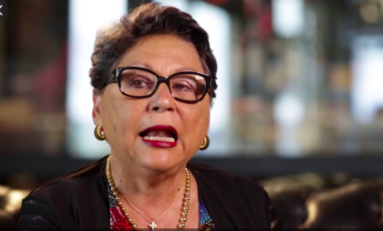 Martinique : procès des 7 militants anti-chlordécone ...l'avocate providentielle Dinah Rioual-Rosier entre dans la danse...discrètement... furtivement