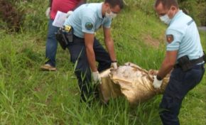 Le buste de Victor Schoelcher a été retrouvé en Guadeloupe...ses jours ne sont pas en danger