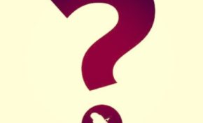 Femmes, voici les raisons pour lesquelles vous devez prendre le pouvoir, maintenant.