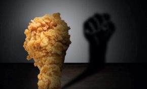 "KFC...et mon Q.I...c'est du poulet ?"