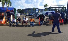 Grève en Martinique : Peugeot Automobiles est immobile