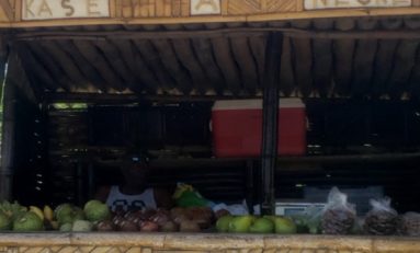 L'image du jour 12/09/20 - Robert - Martinique