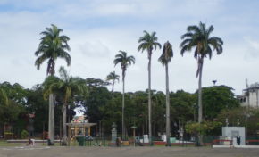 RCI : Radio Covid International ou le manque à Garnier ?