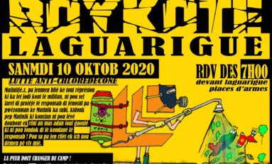 Les militants anti-chlordécone bloquent Laguarigue à Place d'Armes en Martinique