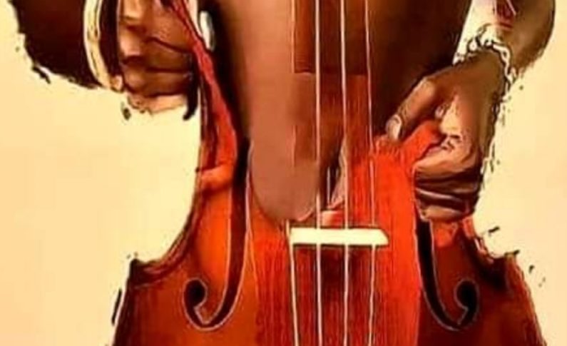 L'image du jour 20/11/20 - Violon