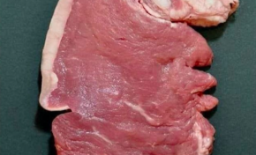 Donald...entre côte ouest et est...c'est cuit !!!!