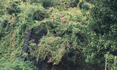 Martinique…ce que la ville de Fort-de-France fait avec : la FONTAINE  GUEYDON