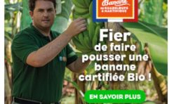 La Guadeloupe et la Martinique sont fières de faire pousser une BANANE "cartifiée" Bio !