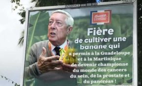 Banane et Chlordécone en Martinique : oh mon dieu...oh my god...oh Djee Zeus...ce serait l'enfer si on  laissait de Lucy faire ?