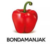 Bondamanjak : Un jour ou l'autre... (vidéo)