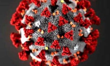 Plus de 100 cas de COVID en 24h en Martinique !