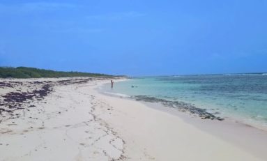 La plage des salines... à Saint François en Guadeloupe