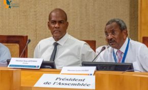 Collectivité Territoriale de Martinique : le syndrome d'Hubris ça libère ?