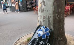 L'image du jour 16/07/21 - Liberté -Paris- France