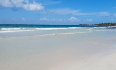 Martinique : attention...Trabaud