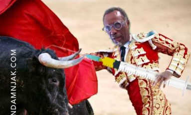 VIRAPIKADOR ...vous allez adorer