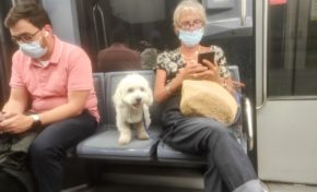 L'image du jour 05/09/21 - Paris - France