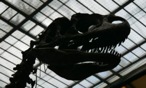 Etat d’urgence sanitaire en Martinique jusqu’au 31 décembre 2021 ?