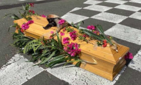 Qui vivra verra Veran !