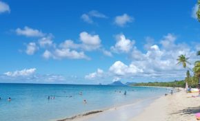 🎵🎵🎶Et j'ai crié, crié : "Salines !", pour qu'elle revienne🎵🎶