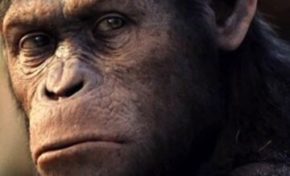 Racisme ordinaire en France : Leclerc obscur