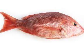 Martinique La 1ère : POURQUOI ? 🤔🤔🤔😳😳😳