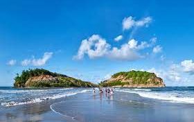 Une tortue pond sur la plage de Sainte-Marie en Martinique et regagne l'Océan Atlantique