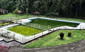 Martinique : à Macouba la piscine est verte pourtant le ciel est bleu
