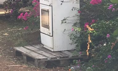 Martinique : la ville de Fort-de-France cherche à séduire l'équipe de Top Chef ?