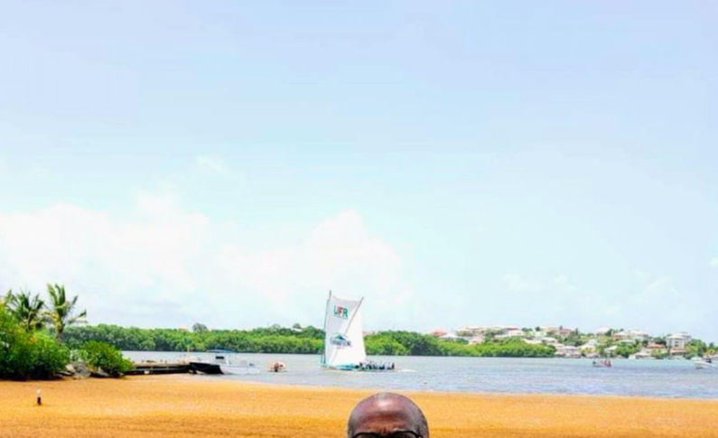 Et si les 55 candidats-es aux Législatives 2022 en Martinique organisaient une journée ramassage d'algues sargasses ? Et si...ils s'y mettaient ?