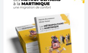 📚Les MÉTROPOLITAINS à la Martinique une migration de confort